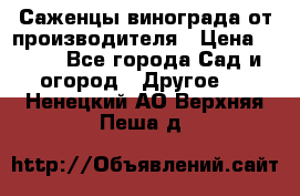 Саженцы винограда от производителя › Цена ­ 800 - Все города Сад и огород » Другое   . Ненецкий АО,Верхняя Пеша д.